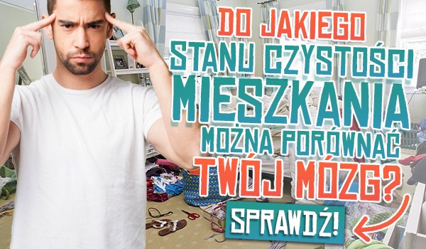 Do jakiego stanu czystości mieszkania można porównać Twój mózg?