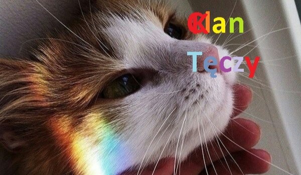 Klan Tęczy #5