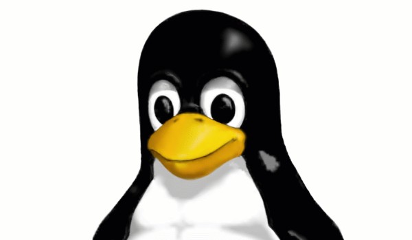 Jaką dystrybucję linux wybrać?