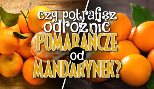 Czy potrafisz odróżnić pomarańcze od mandarynek?