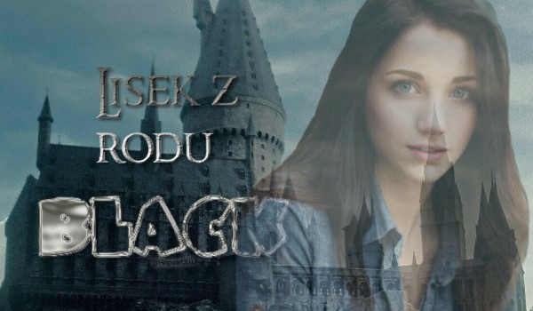 Lisek z rodu Black #26