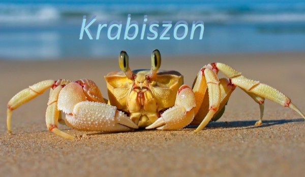 Krabiszon#9 – „Sen…” (koniec)