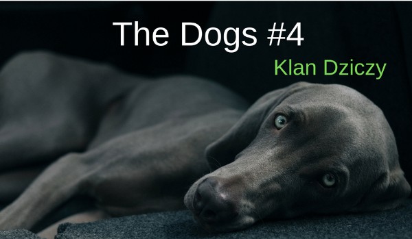 The Dogs #4 Klan Dziczy