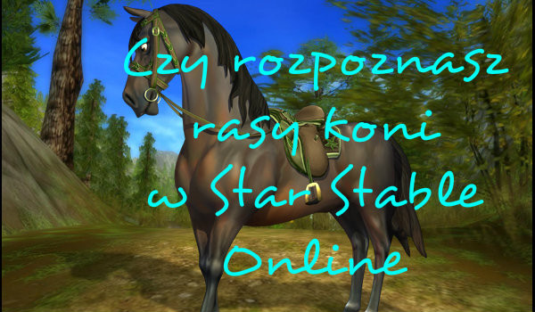 Czy rozpoznasz rasy koni w Star Stable Online