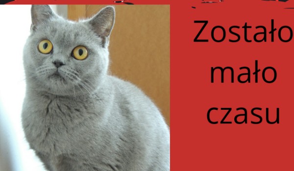 Warriors – Opóźnienia