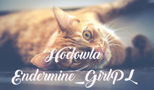 Hodowla Endermine_GirlPL