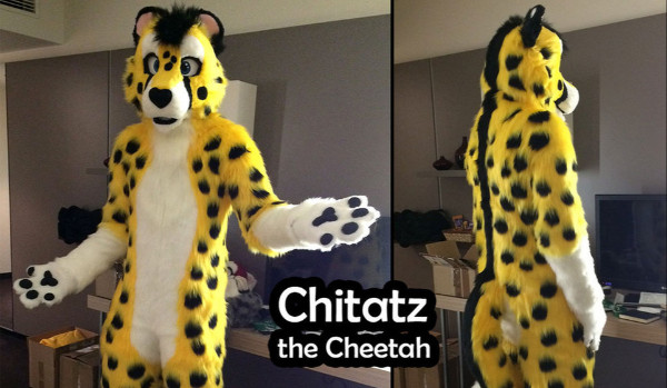 Oceny fursuitów-Gepard.