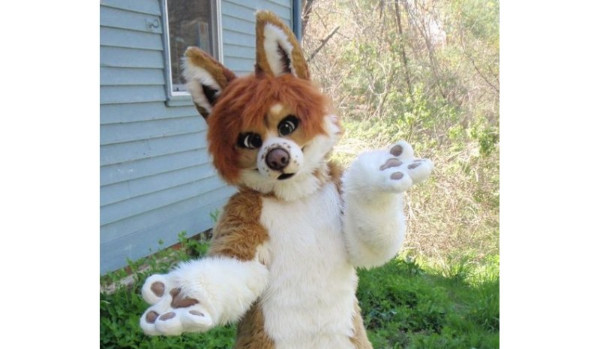 Oceny fursuitów-Pies