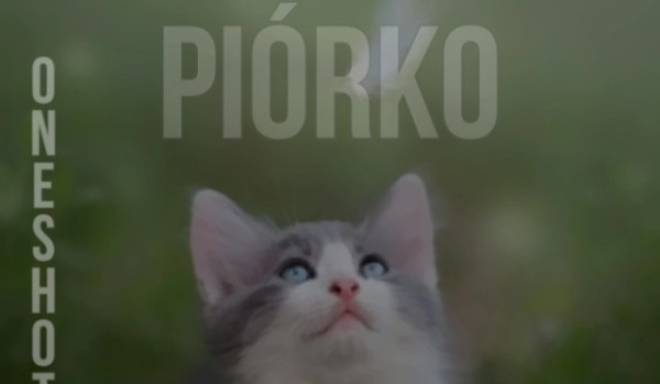 Piórko – ONE SHOTE