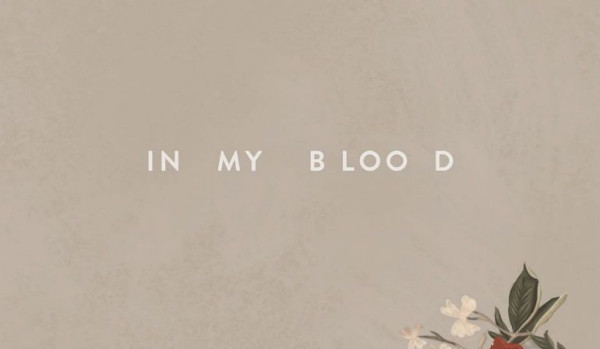 Masz 5 sekund, aby odnaleźć błąd w tekście piosenki ,,In my blood” Shawna Mendesa!
