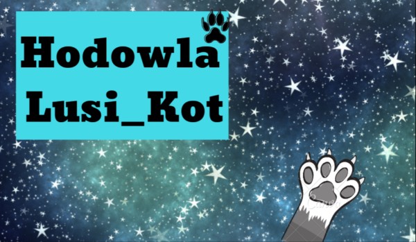 Hodowla Lusi_Kot
