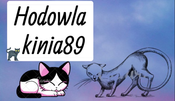 Hodowla kinia89