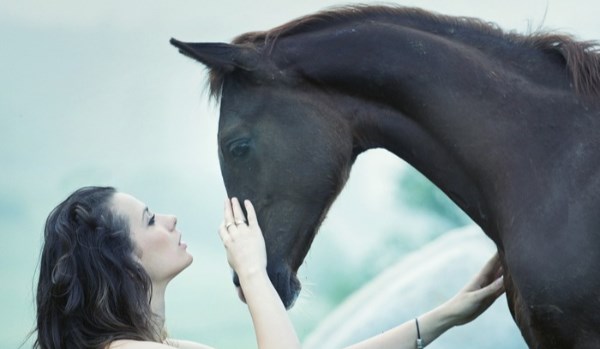 Czy uda ci się odpowiedzieć na pytania o koniach i jeździe na nich w określonym czasie?