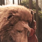 _I_Love_Narnia