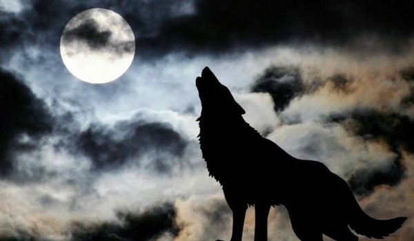 W blasku księżyca.