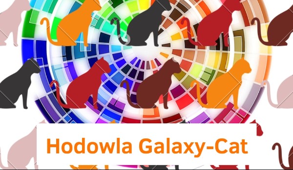 Hodowla galaxy-cat