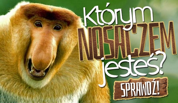 Którym nosaczem jesteś?