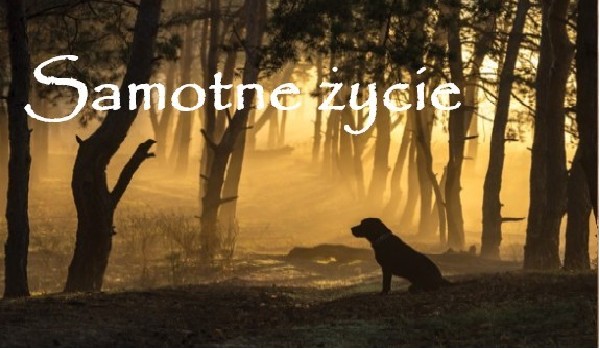 Samotne Życie – #Prolog