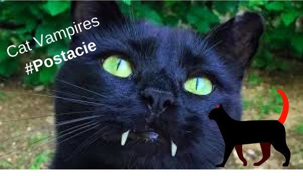 The Cat Vampires #Postacie