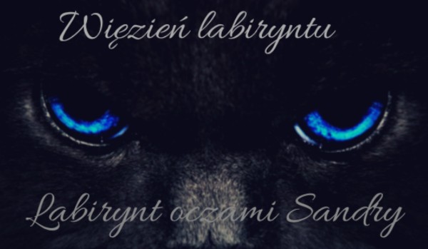 Więzień labiryntu:labirynt oczami Sandry #13