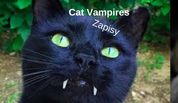 The Cats Vampires #zapisy
