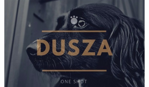 Dusza – One shot