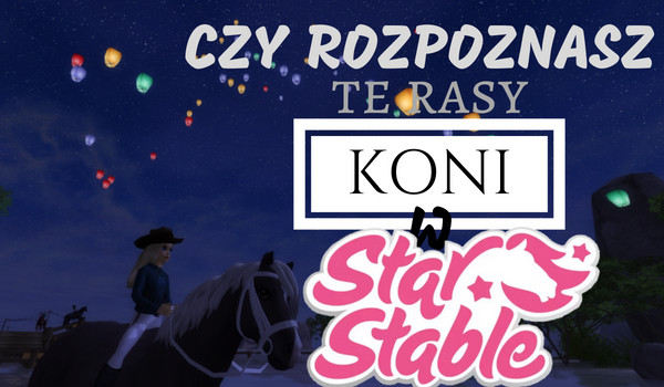 Czy rozpoznasz rasy koni w Star Stable Online?