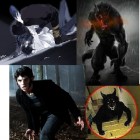 AlexaFoxAndWolfPrincess