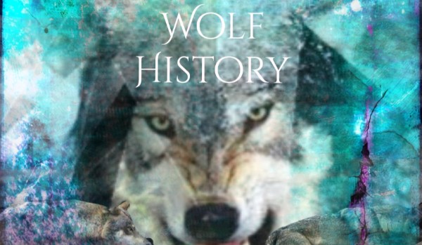 Wolf’s History Rozdział 1