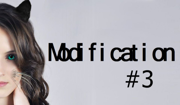 Modification #3