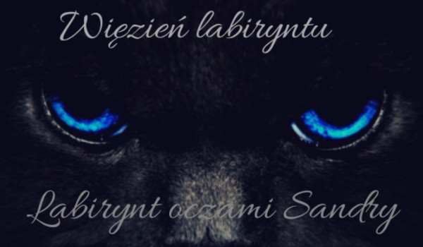 Więzień labiryntu: labirynt oczami Sandry #7