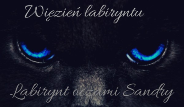 Więzień labiryntu: labirynt oczami Sandry #4