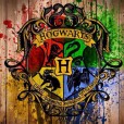 Potterhead_loveHogwart_