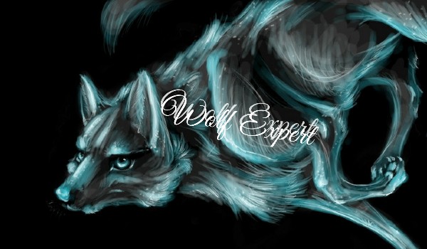 Wolf Expert #1