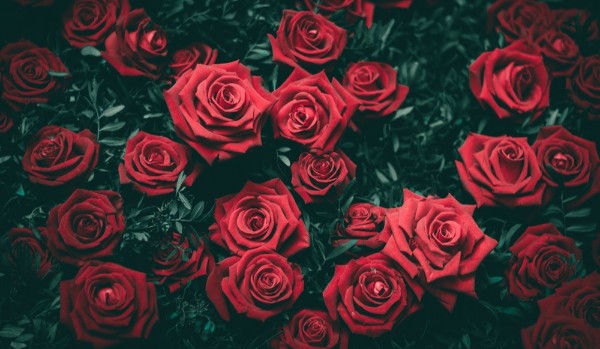 Miniaturka dla _lady.of_asgard_