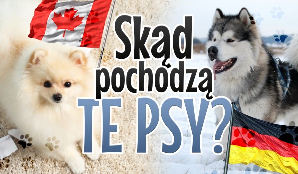Czy wiesz skąd pochodzą te psy?