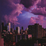 MoonlightDamn