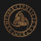 White_Aryan_Viking1488