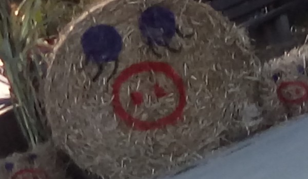 Jaką masz osobowość ?