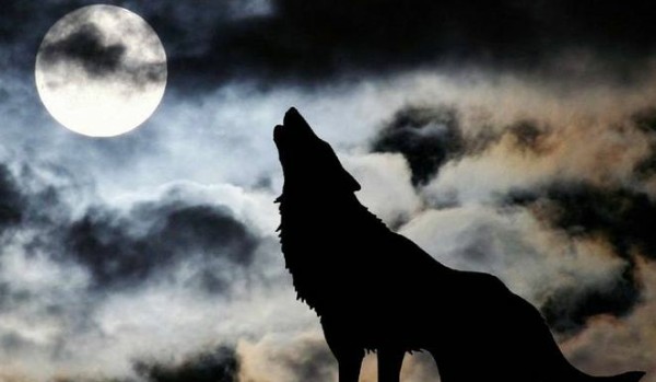 W blasku księżyca.