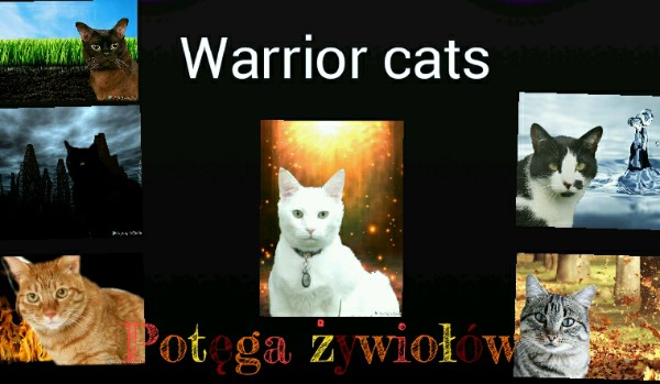 Warrior cats – Potęga żywiołów #postaci
