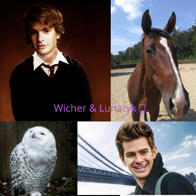 horse_passion