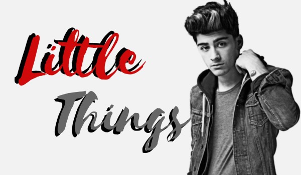 Little Things // One Shot // Z.M // ft. FixuPL