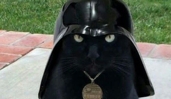 Rysunek w ibispait x na telefonie xdd #3