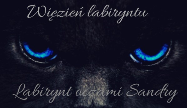 Więzień labiryntu: labirynt oczami Sandry #12