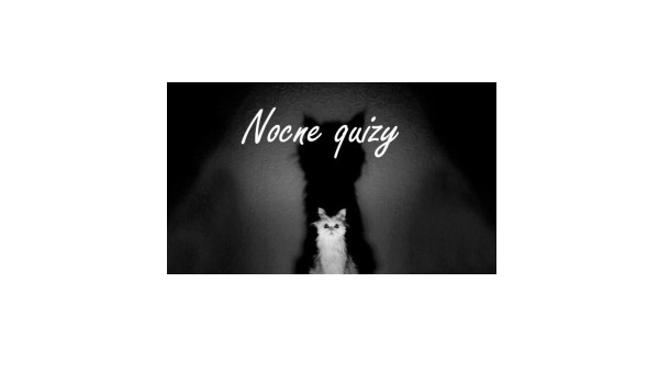 Nocne Quizy #5