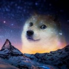 Piesel_ktory_Cie_zaobserwuje