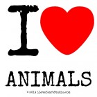 I_Love_Animals