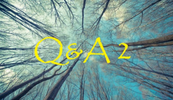 Q&A 2 *Martyna sie buntuje XDD*