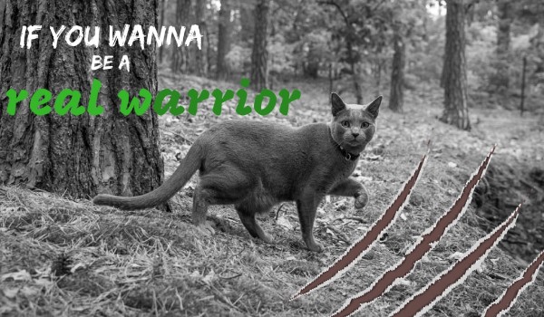 If you wanna be a real warrior #10 Maraton 1/3